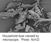 Household Dust Harbors Thousands of Microbial Species