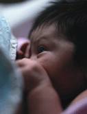 Siblings Now Main Source of Infants' Whooping Cough: CDC