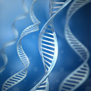 Genes Help Set Menopause Timing: Study