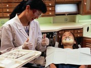 Dentistry Without the Drill?  New Study Offers Hope