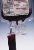 FDA Lifts Ban on Blood Donations by Gay Men