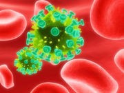 HIV Can Persist in Body Despite Drug Therapy