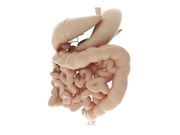 Psych Therapies May Have Long-Term Benefits for Irritable Bowel Patients