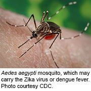 WHO: Zika Virus an International Health Threat