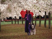 Blooming Trees Can Bring Misery to Allergy Sufferers