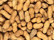 Supervised Exposure Therapy for Peanut Allergy Lasts, Study Finds