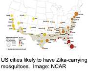 Scientists Pick U.S. Cities Where Zika Might Hit This Summer