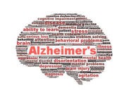 Scientists Reduce Alzheimer's-Linked Brain Plaques in Mice