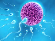 Scientists Spot 'Switch' That Helps Sperm Penetrate Egg