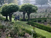 Study Links Green Spaces to Longer Lives for Women