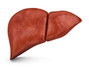 More People Surviving Sudden Liver Failure
