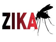 Businesses Should Be Mindful of Zika Danger to Workers, CDC Says
