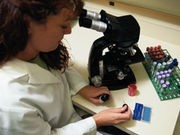 Exploring Zika's Path Through the Placenta