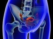 Female Reproductive Tract Not a Sterile Environment, Study Finds
