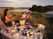 Food Safety Should Come 1st on the 4th