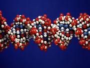 Global Team Taps Into DNA Behind Type 2 Diabetes