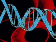 14 Genes That May Affect Cancer Treatment