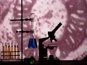 Immune Therapy Makes Headway Against a Lymphoma
