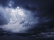 Study: El Nino Could Boost Lyme Disease in Western U.S.