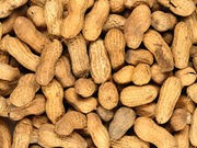 Skin Patch May Help With Peanut Allergy