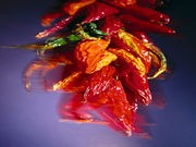 'Ghost Pepper' Burns Hole in Man's Esophagus