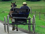 Measles Outbreak Among Amish Highlights Need for Vaccinations