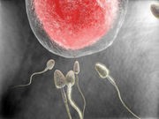 Males Conceived Via Fertility Treatment May Have Weakened Sperm: Study