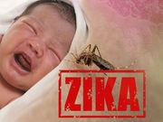 Zika Virus Can Damage Fetal Brain Late in Pregnancy: Study