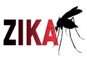 Texas Reports 1st Likely Case of Local Zika Infection