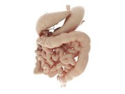 Some Low-Income, Uninsured Patients Aren't Referred for Colonoscopy