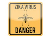 Zika Still a Threat During Winter Months