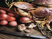 Warmer Waters May Mean More Toxic Shellfish