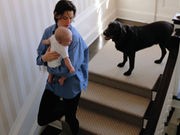 Pet Meds Sending Kids to the ER